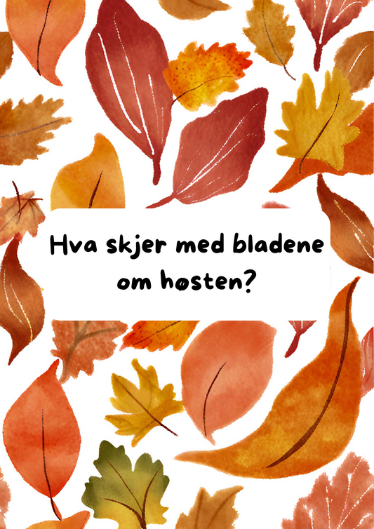 Utforsk høsten - et arbeidshefte
